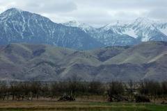 goshen