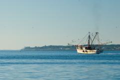 Shrimp boat