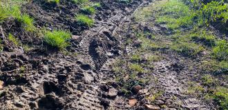 Ruts and other trail damage on a singletrack trail caused by riding in muddy conditions