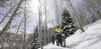 Snow biking in aspen trees