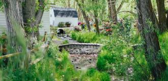 Photo from the outside of Park City Gardens. Plants and flowers in the foreground with a short trail leading to a small white barn.
