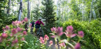 Two mountain bikers biking in the summer