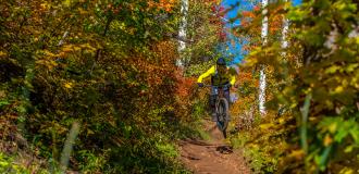 A mountain biker hits a jump on trail between trees on a trail in Park City, UT