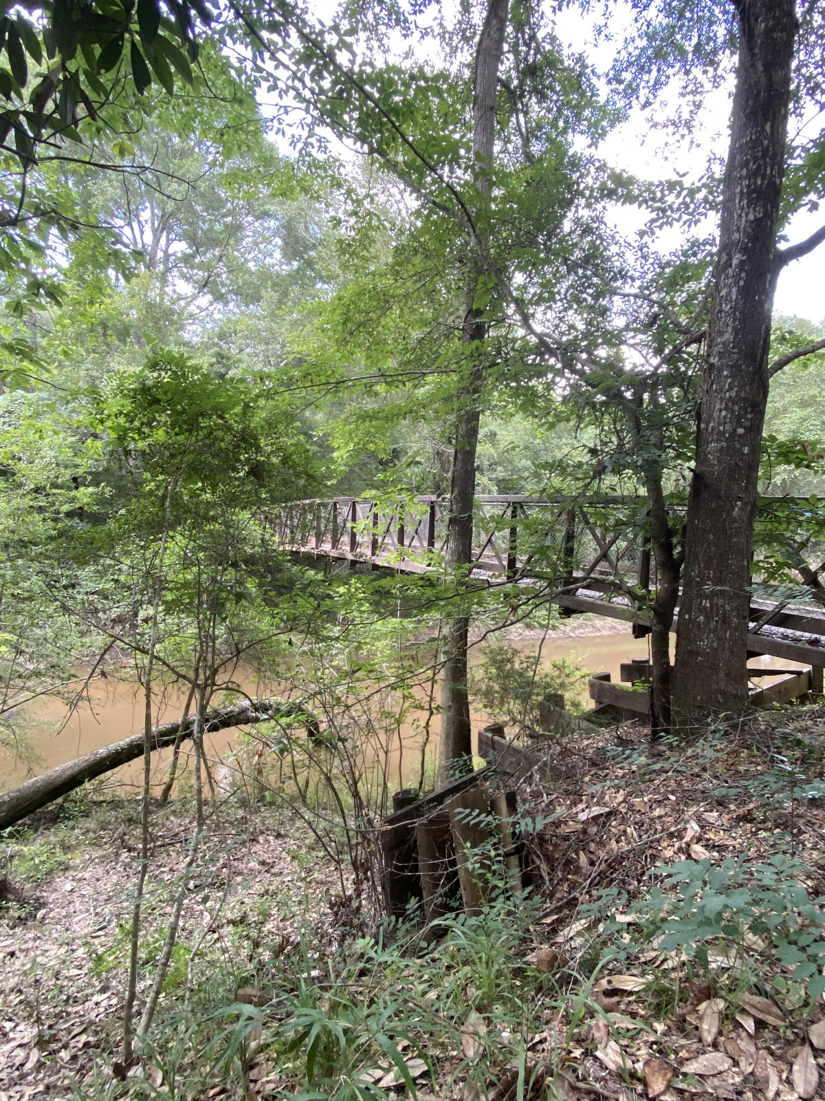 Wood Walking Bridge In Big Thicket National Preserve In Beaumont, TX