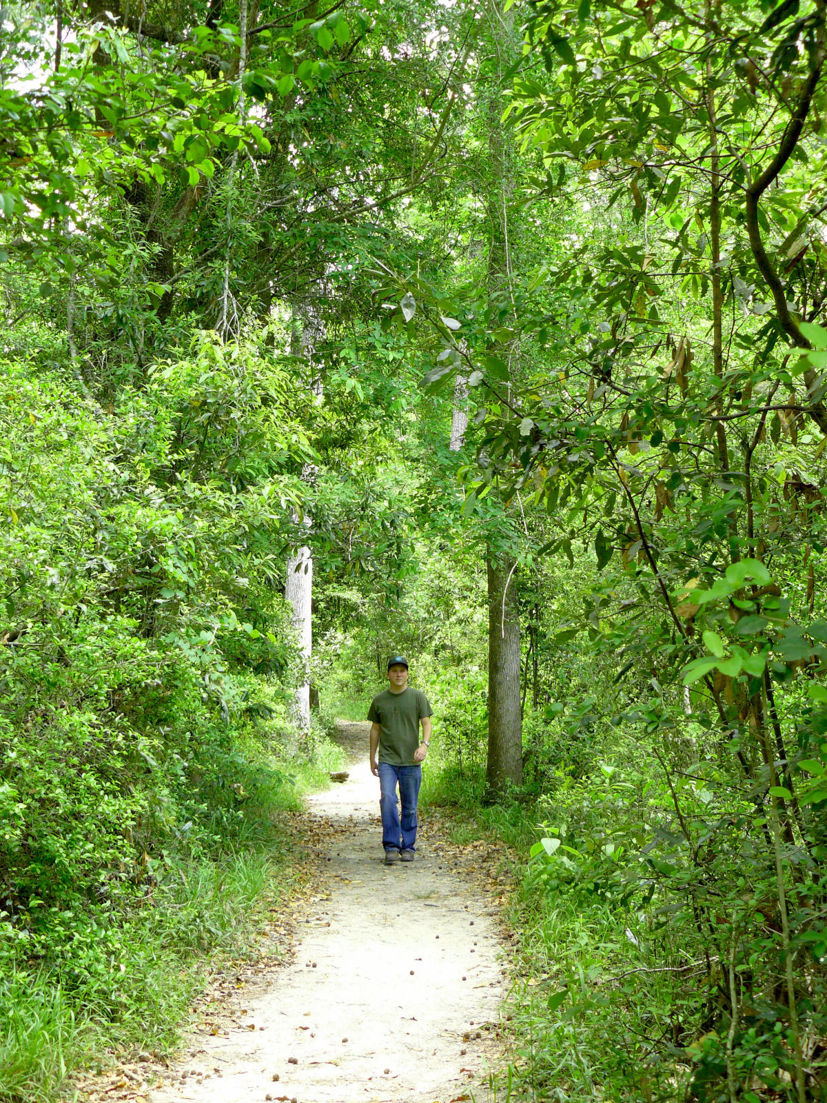 Kid Walking Down A Path In Village Creek State Park​ In Beaumont, TX