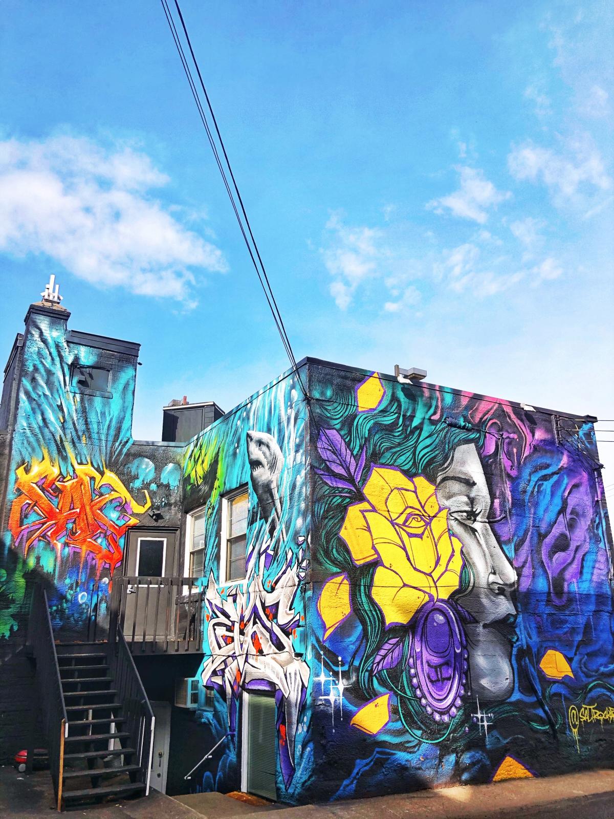 Salt Rock Mural behind Skin Prints in downtown Eau Claire