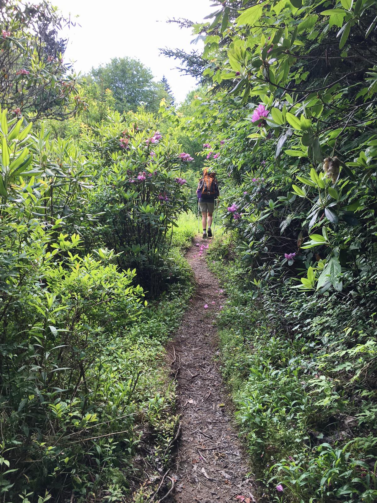 MST_Blog_007_8bffa535-35e2-4dc1-bf7a-33dd470f87b4