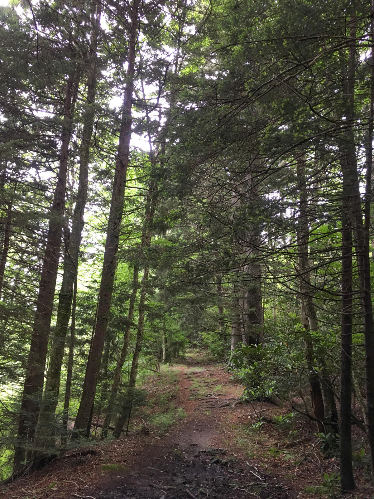 MST_Blog_015_2fdc6bc6-95c6-4a06-9ac3-d6de92069512