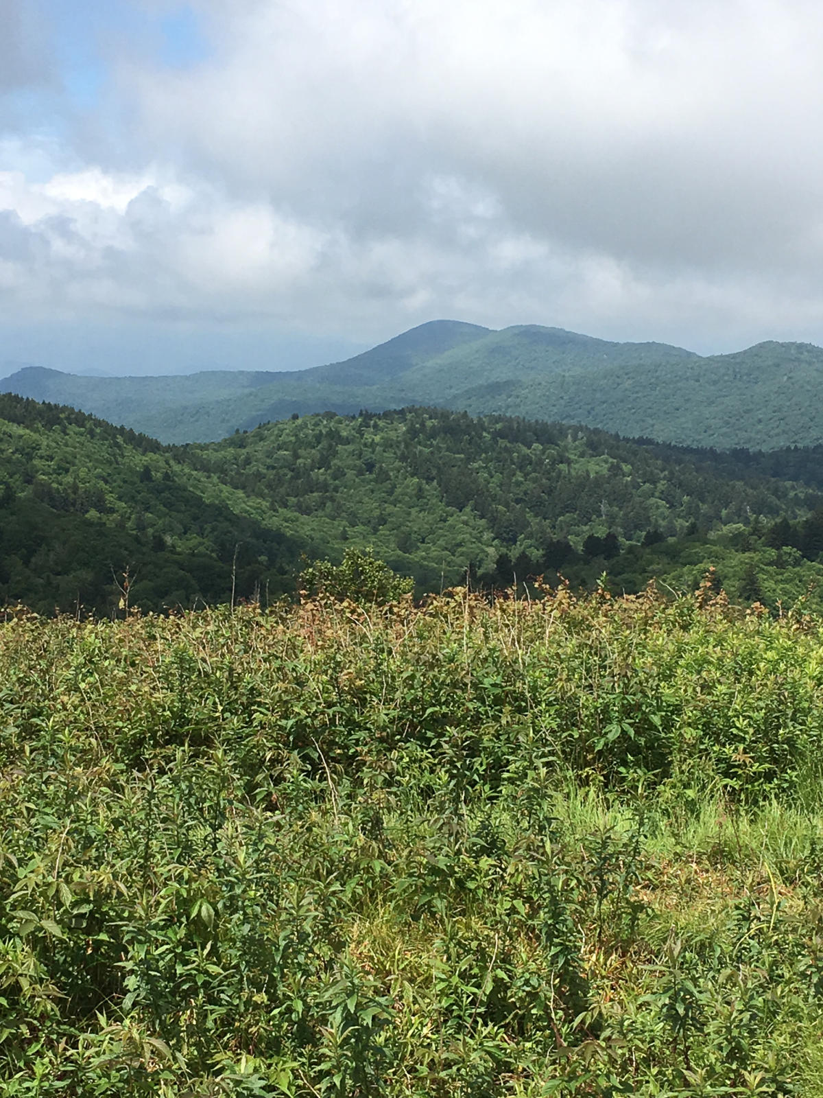 MST_Blog_019_69be9783-8b96-464e-ba63-0d2ec3f7d8ac