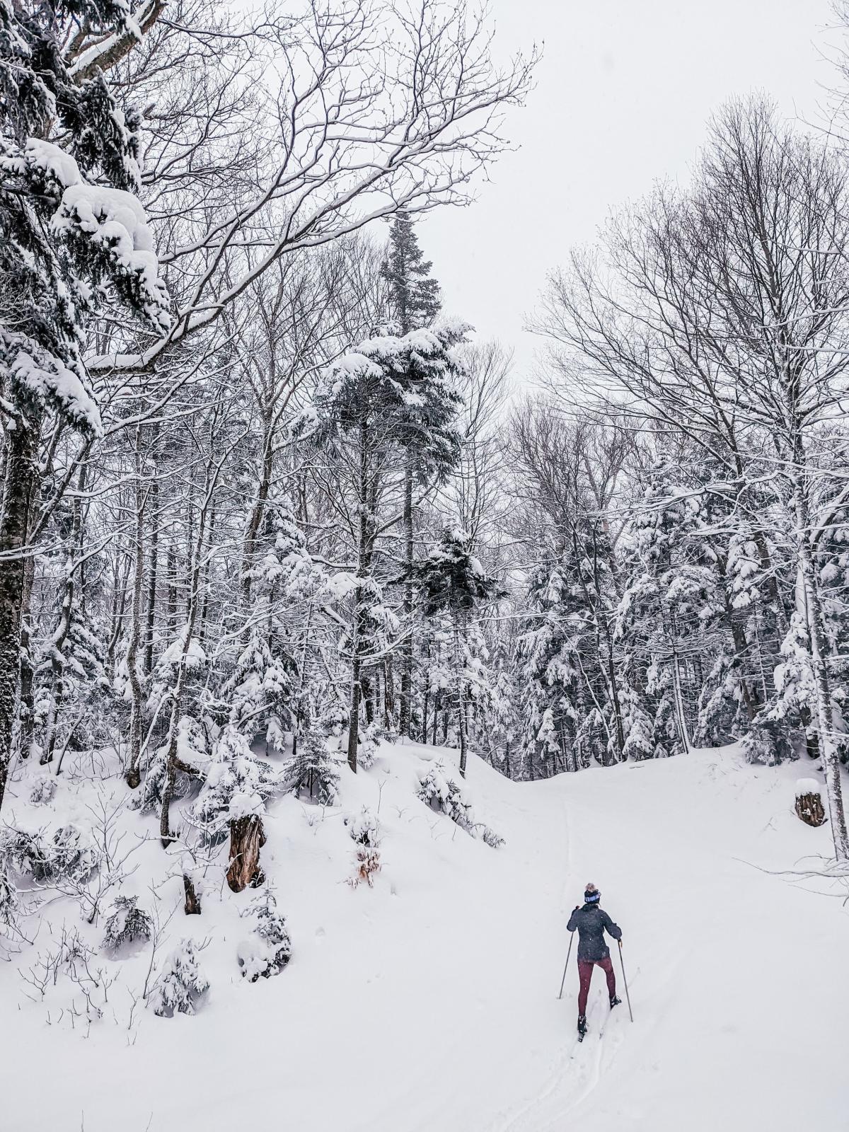 One of the biggest benefits of skiing close to home is that we have been able to get out more frequently and consistently. For beginners like me, practice makes perfect! Starting a new sport can be nerve wracking, but I’ve come to find that cross country skiing has given us a warm welcome. Literally, you’ll be sweating within the first 10 minutes! If you’re looking to get outside, get some exercise and get excited about winter (even in a pandemic) give nordic a try. It’s old school for some, but taking on a whole new meaning this winter. Get ahead of the curve and get out on the trails, you won’t regret that feel good soreness after a day out gliding in the scenic Vermont wilderness. We surely didn’t! - 