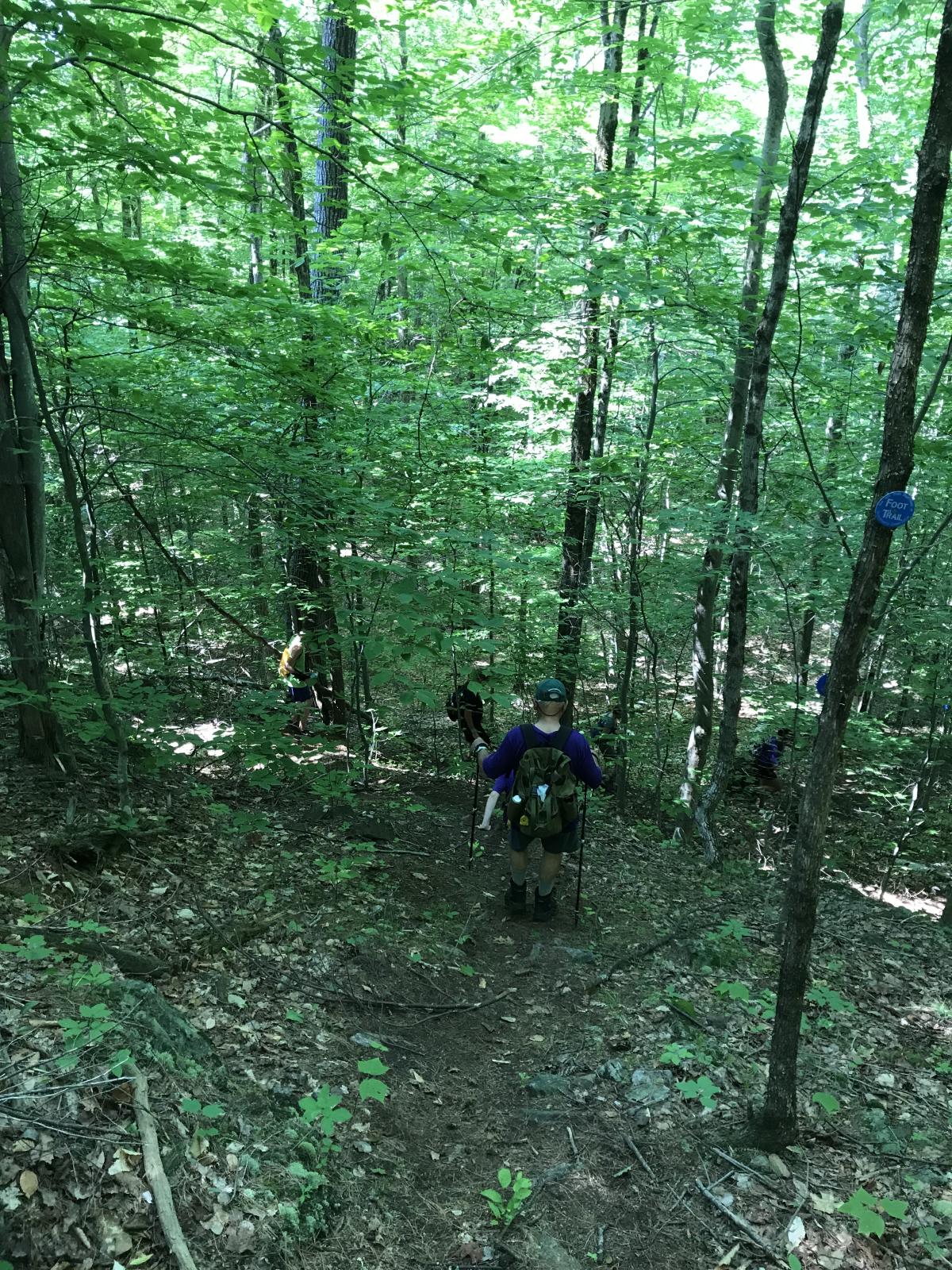 Descent to Pole Hill Pond