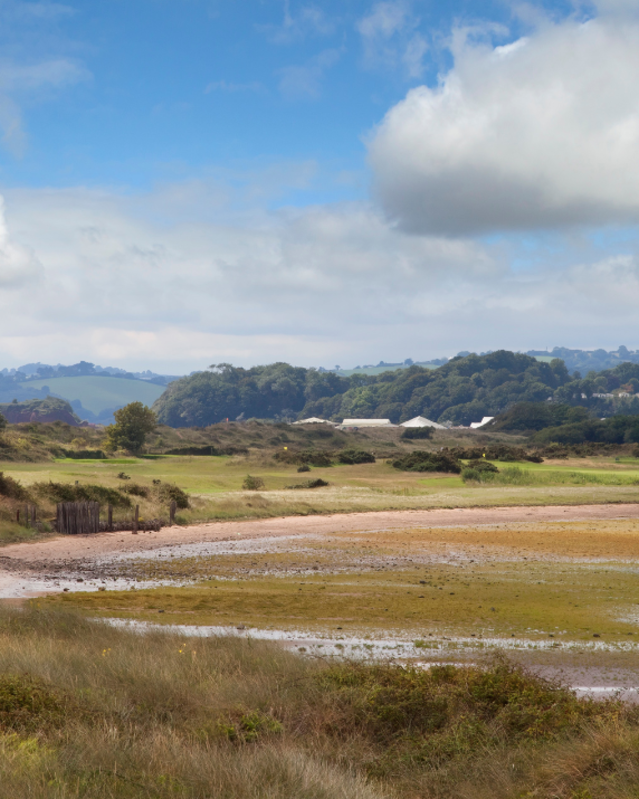 dawlish warren nature reserve