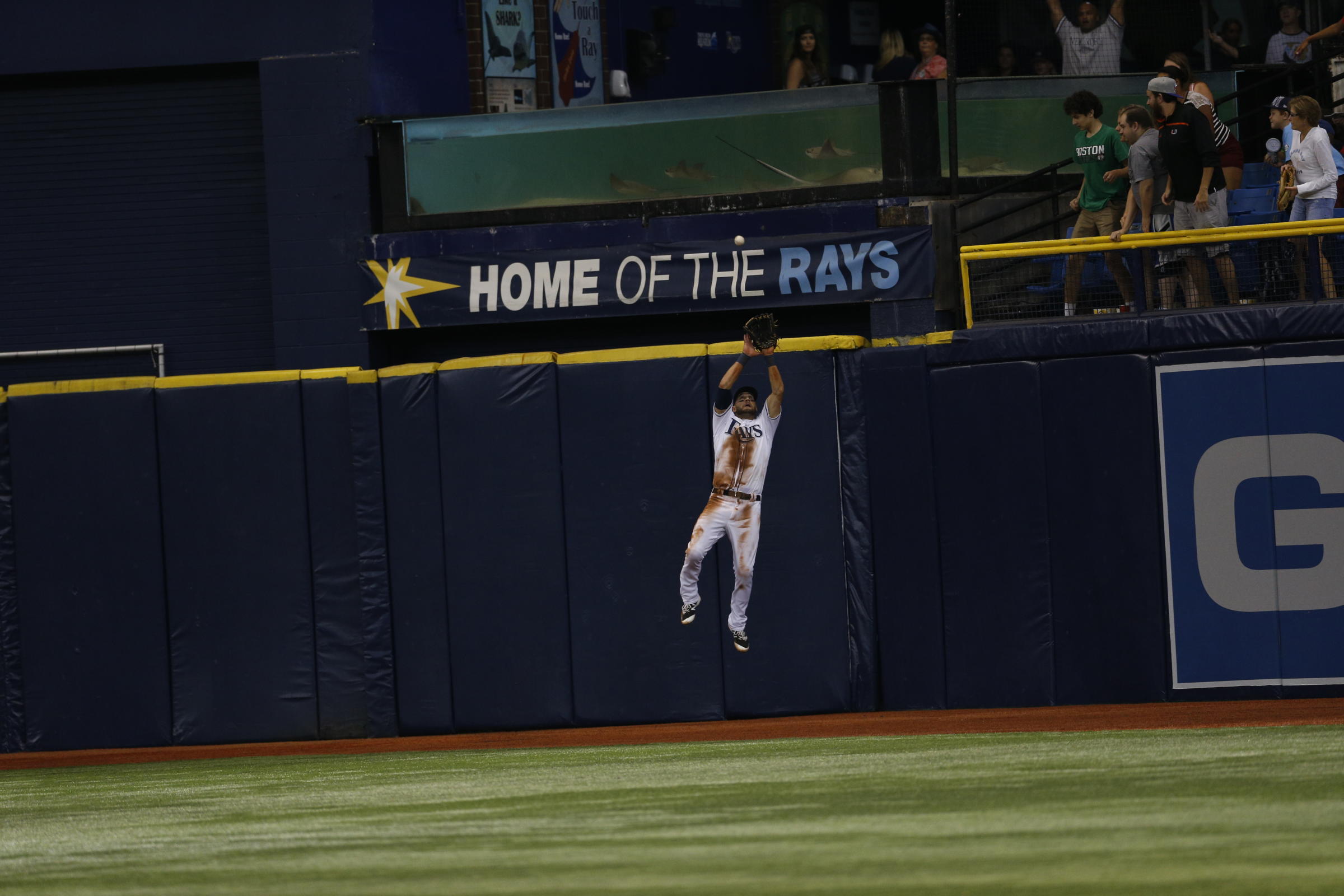 Kevin Kiermaier