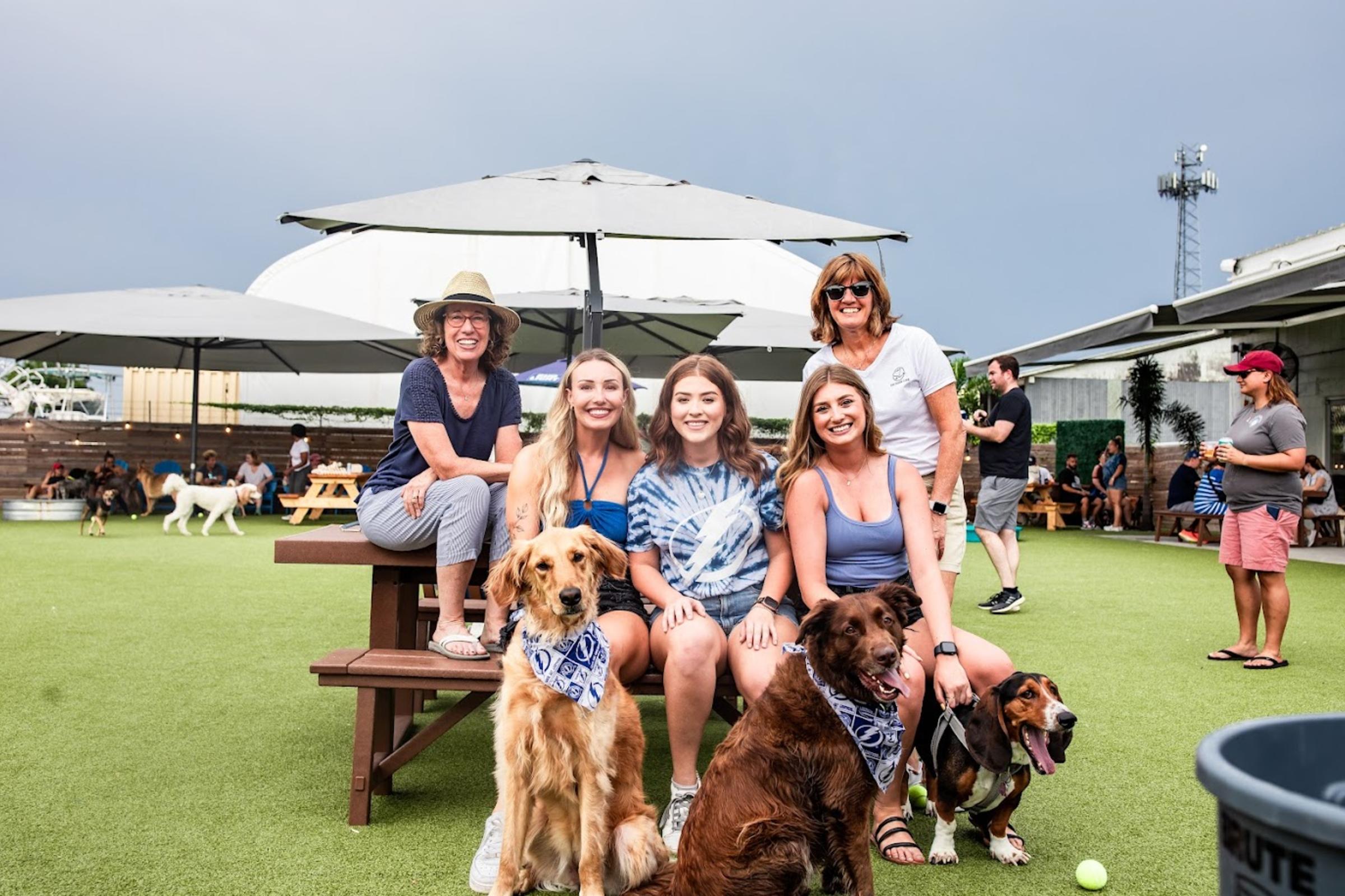 Dog with People