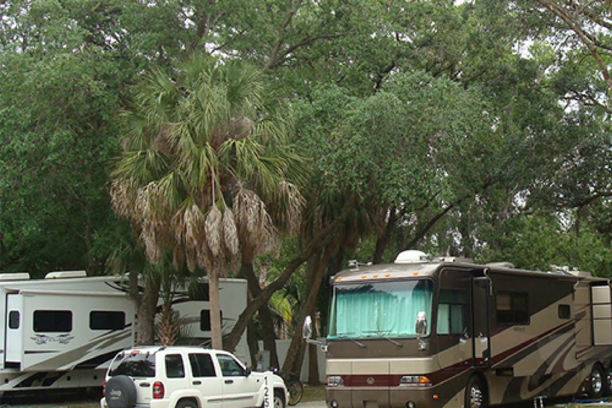Bay Bayou Image 2