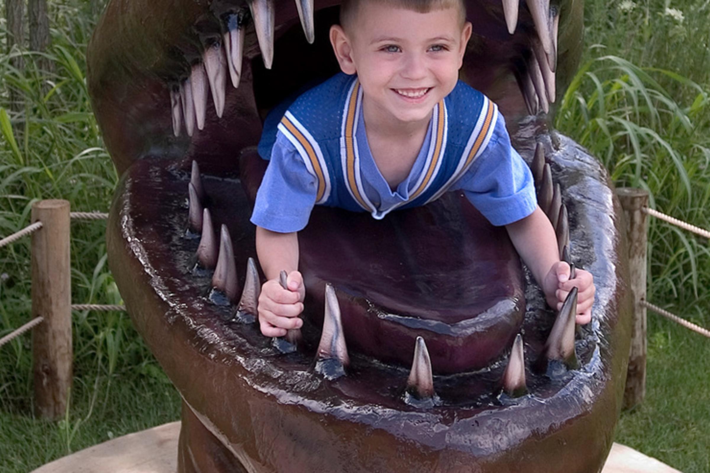 Boy in Dinosaur