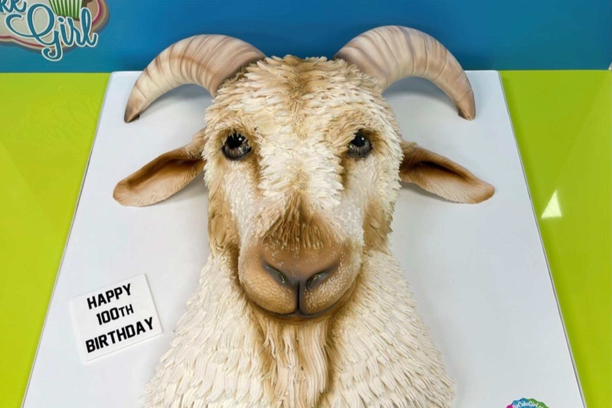 The Cake Girl Goat