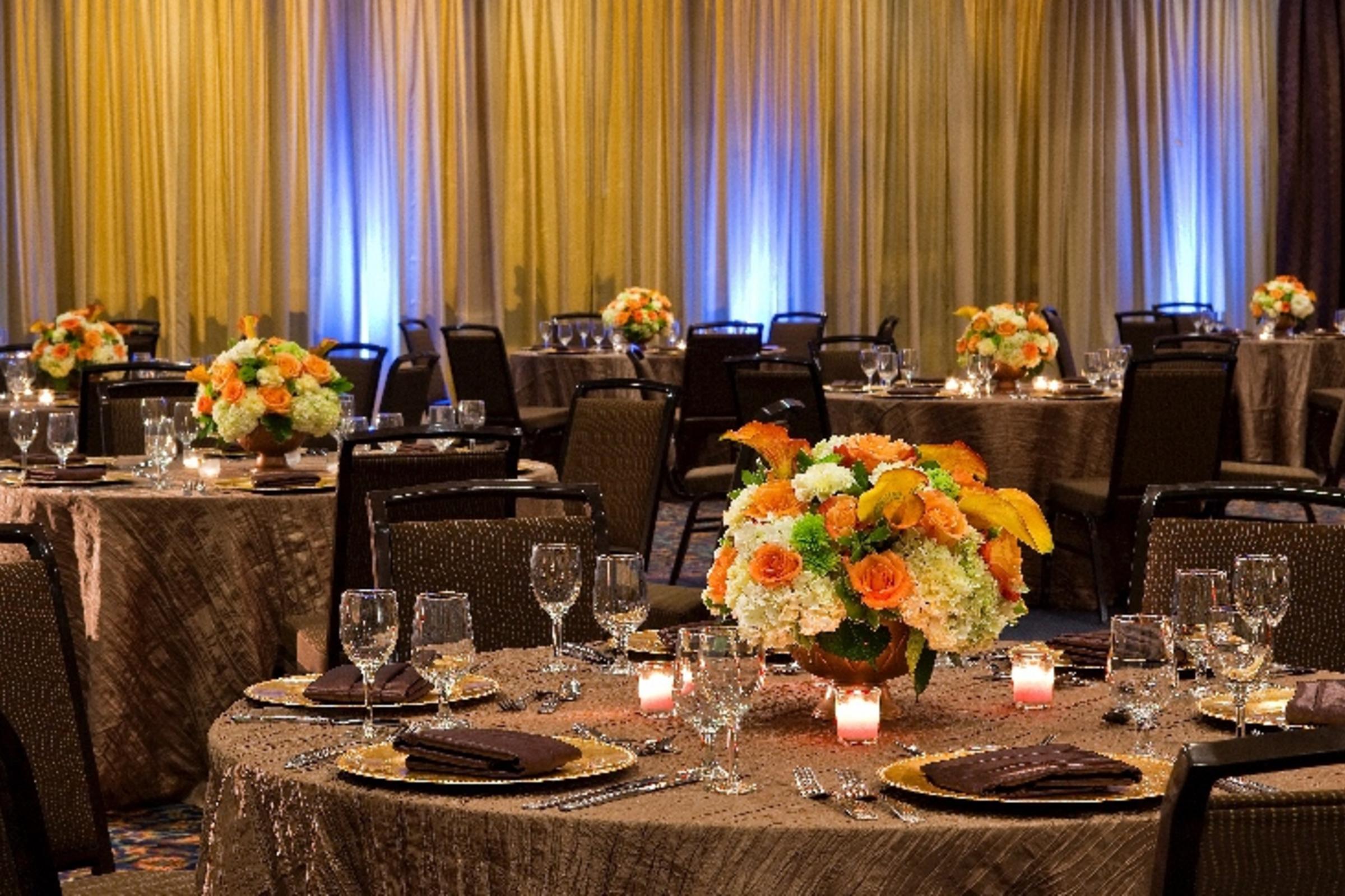 Sheraton Tampa East Hotel  (Ballroom)
