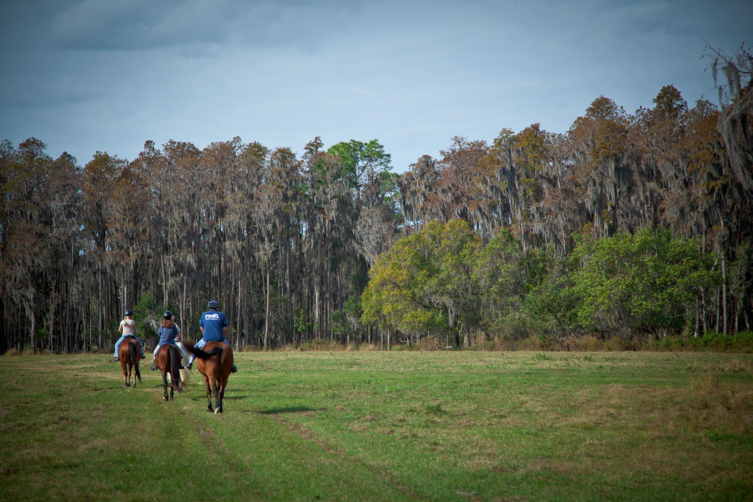 Hillsborough County Parks Horseback riding