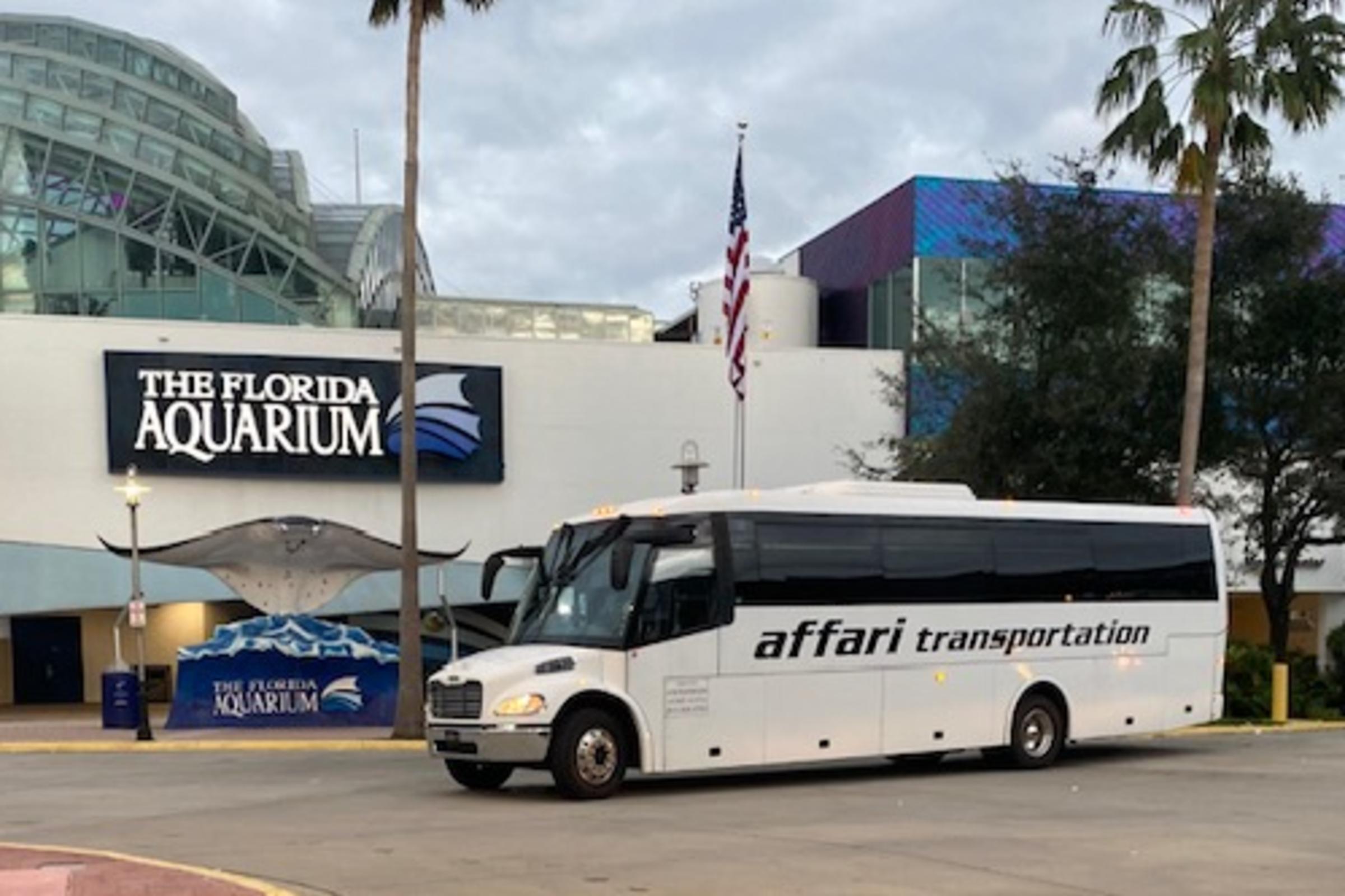 Executive Mini Bus
