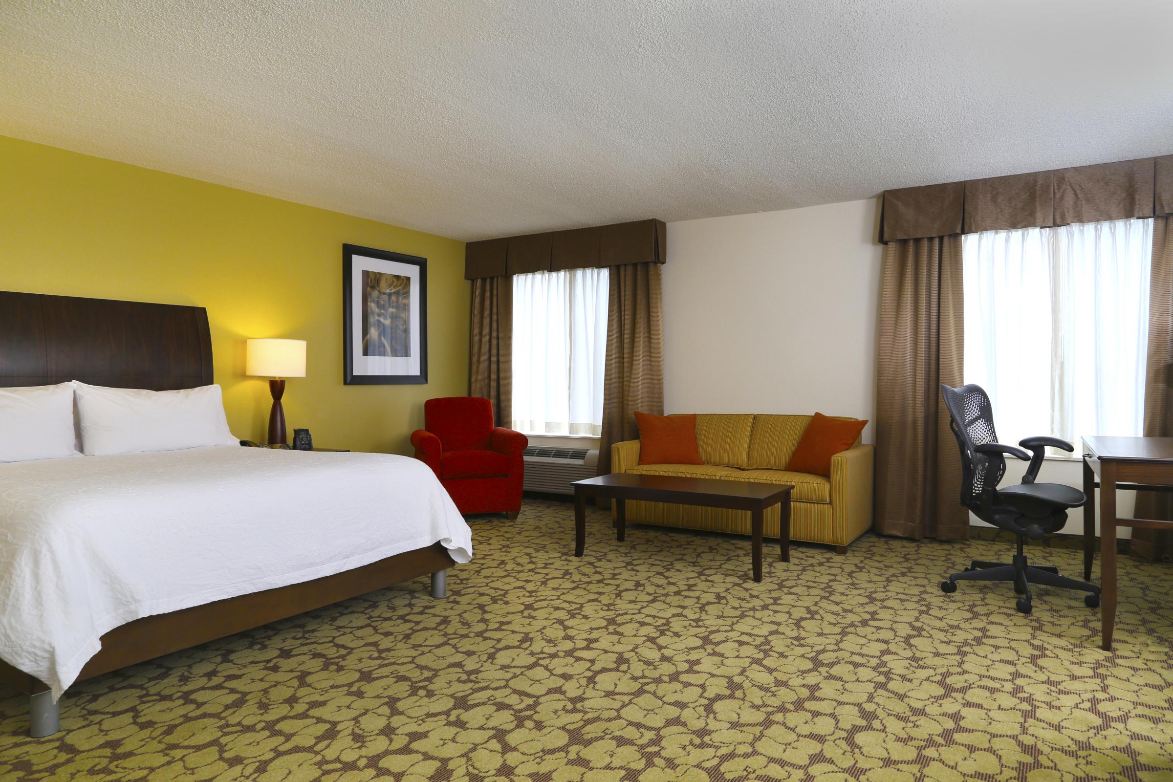 King Deluxe Suite w/Sleeper Sofa