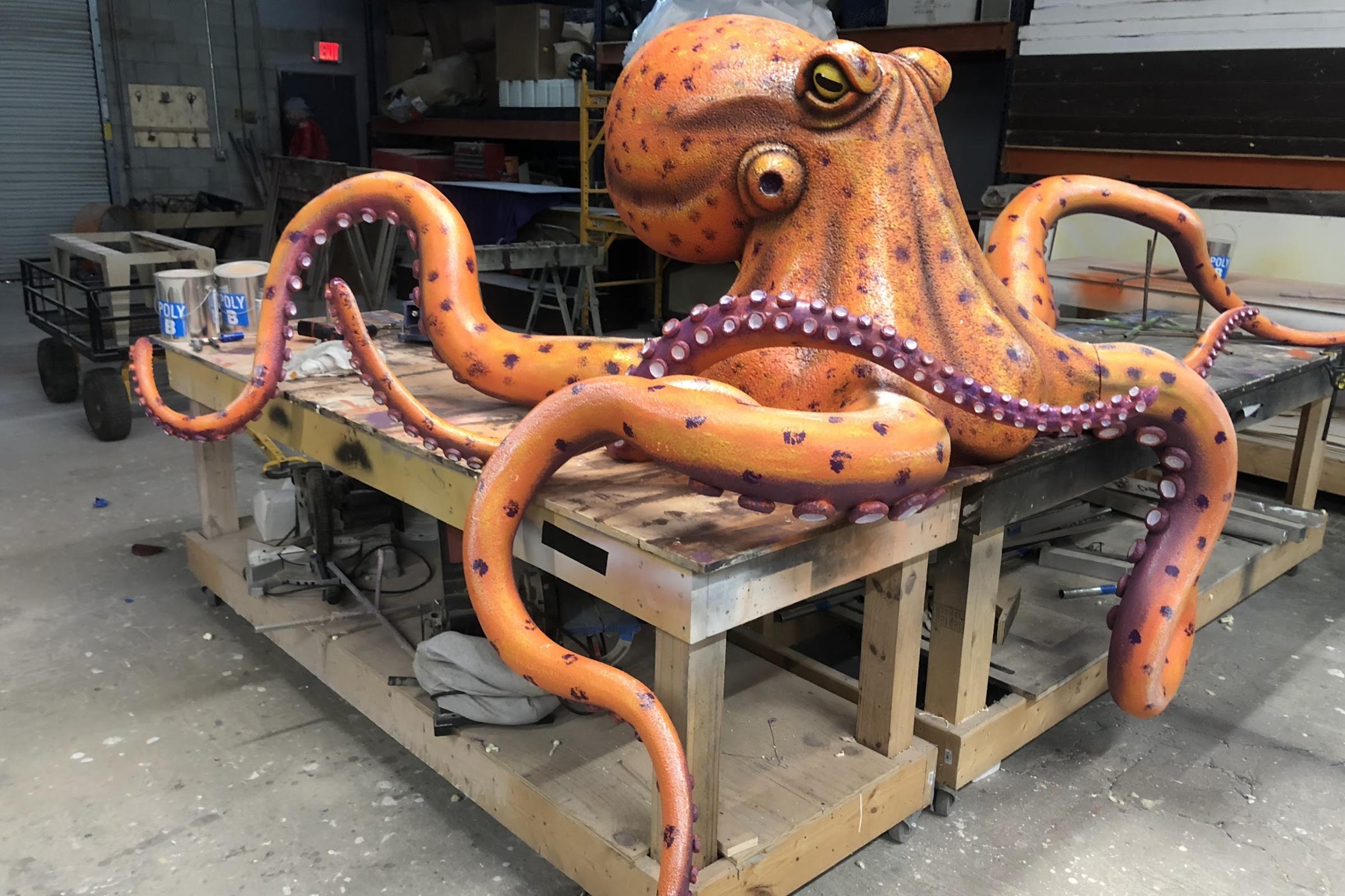 Octopus
