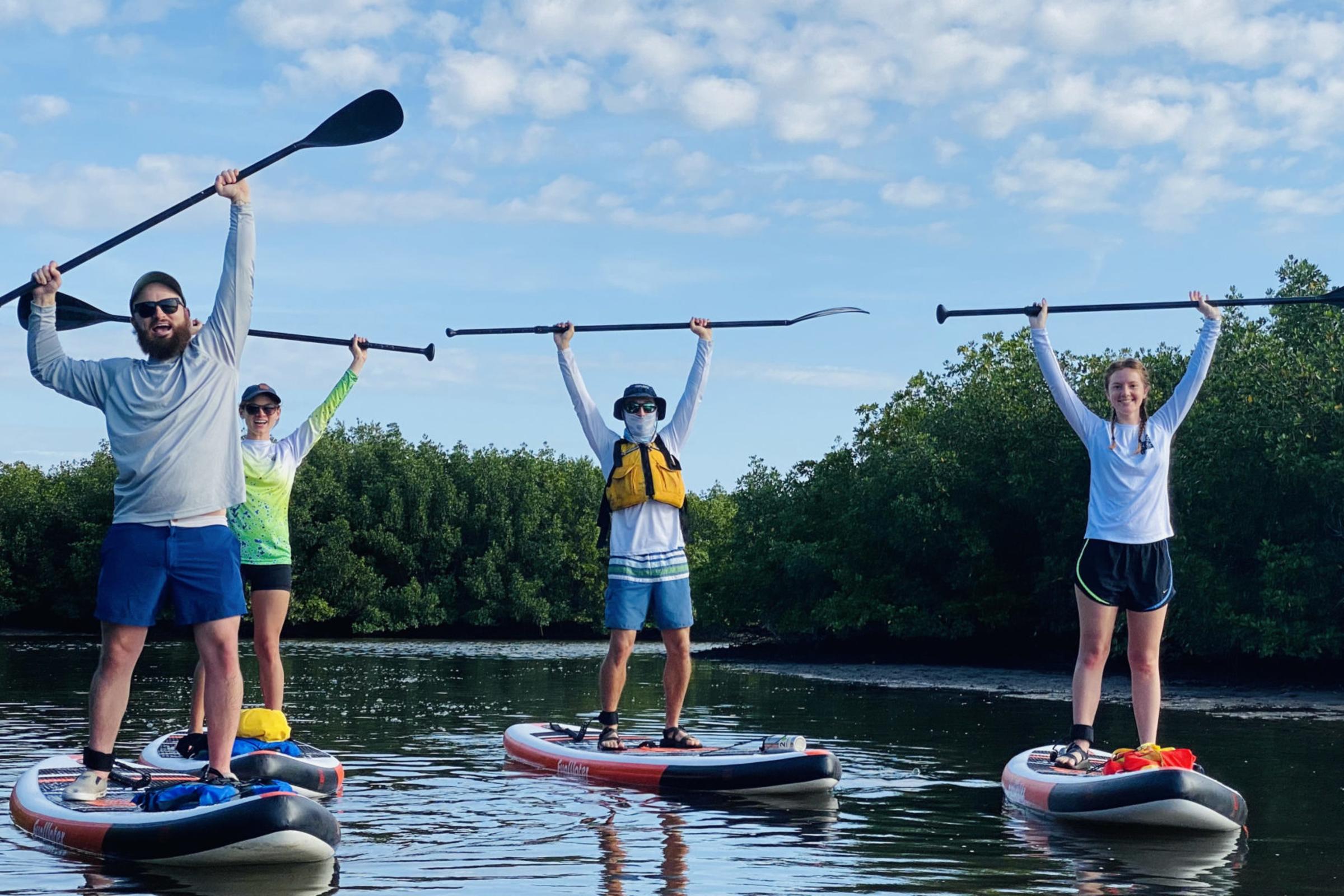 Paddle Board
