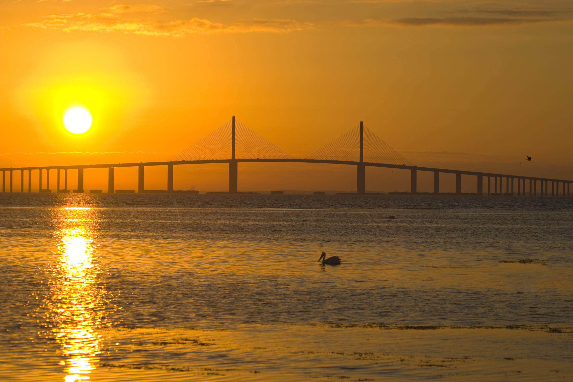 Hillsborough County - Tampa Bay Sunset