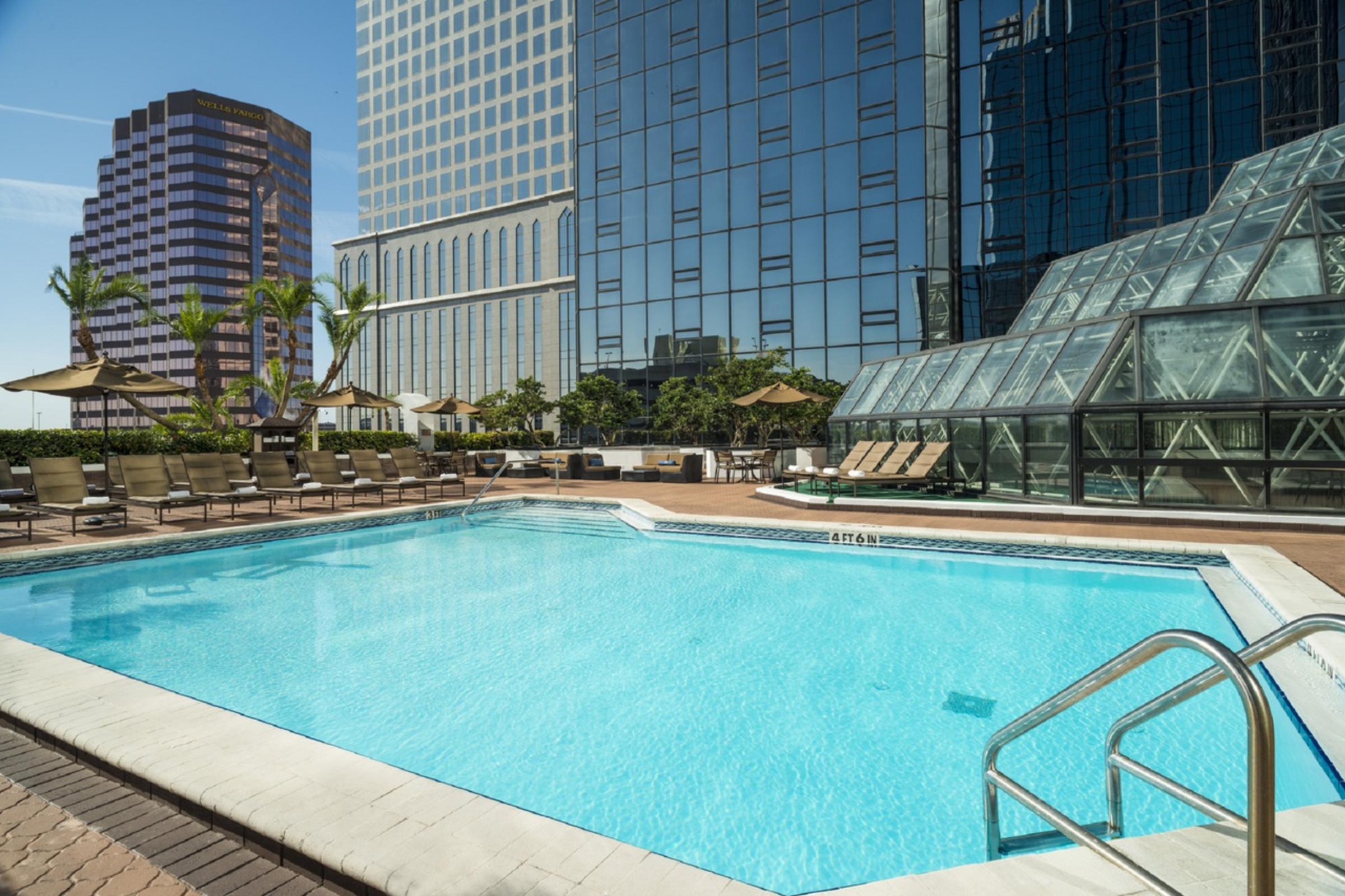 Pool Day Hilton Hotels In Tampa