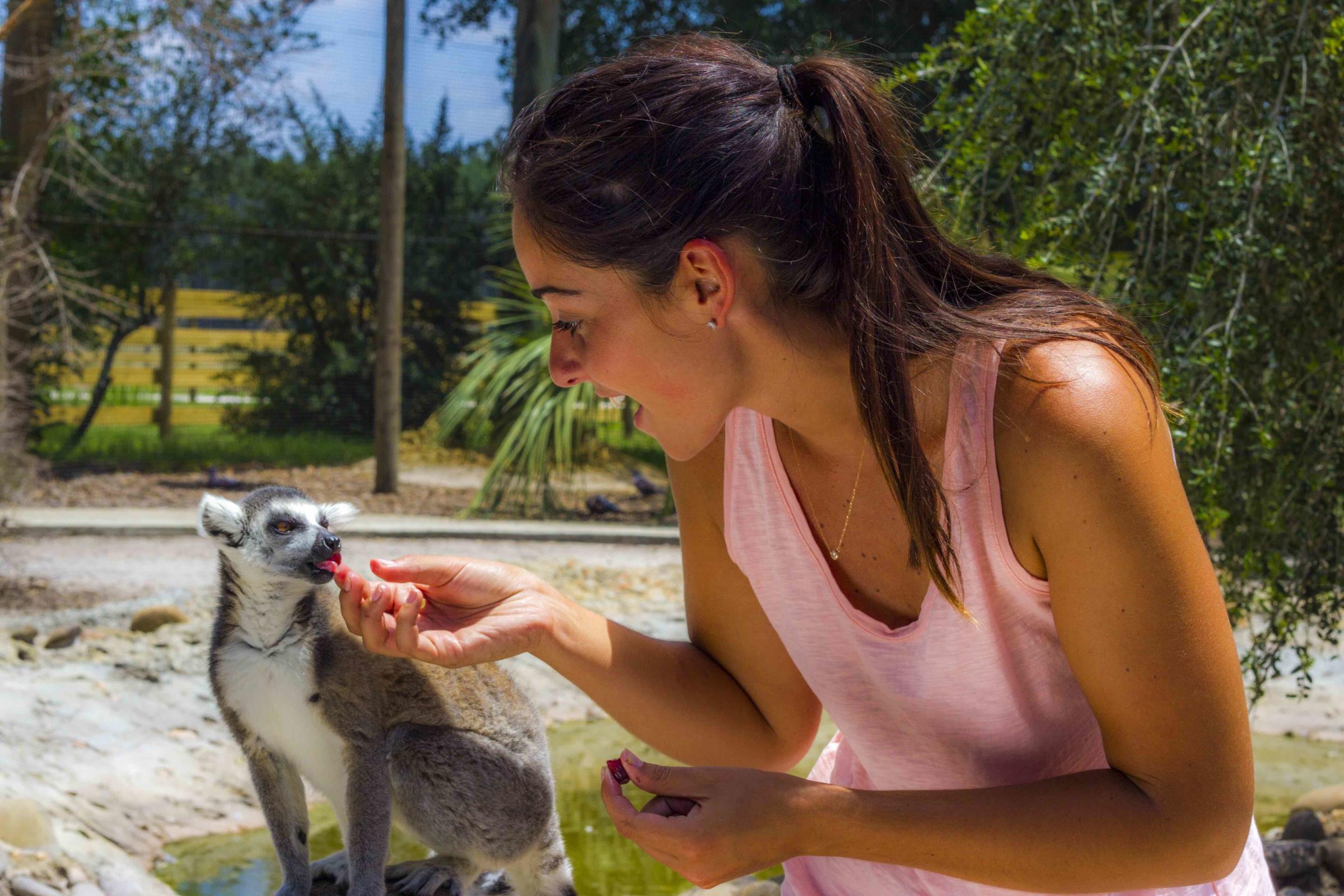 Safari Wilderness in Lakeland