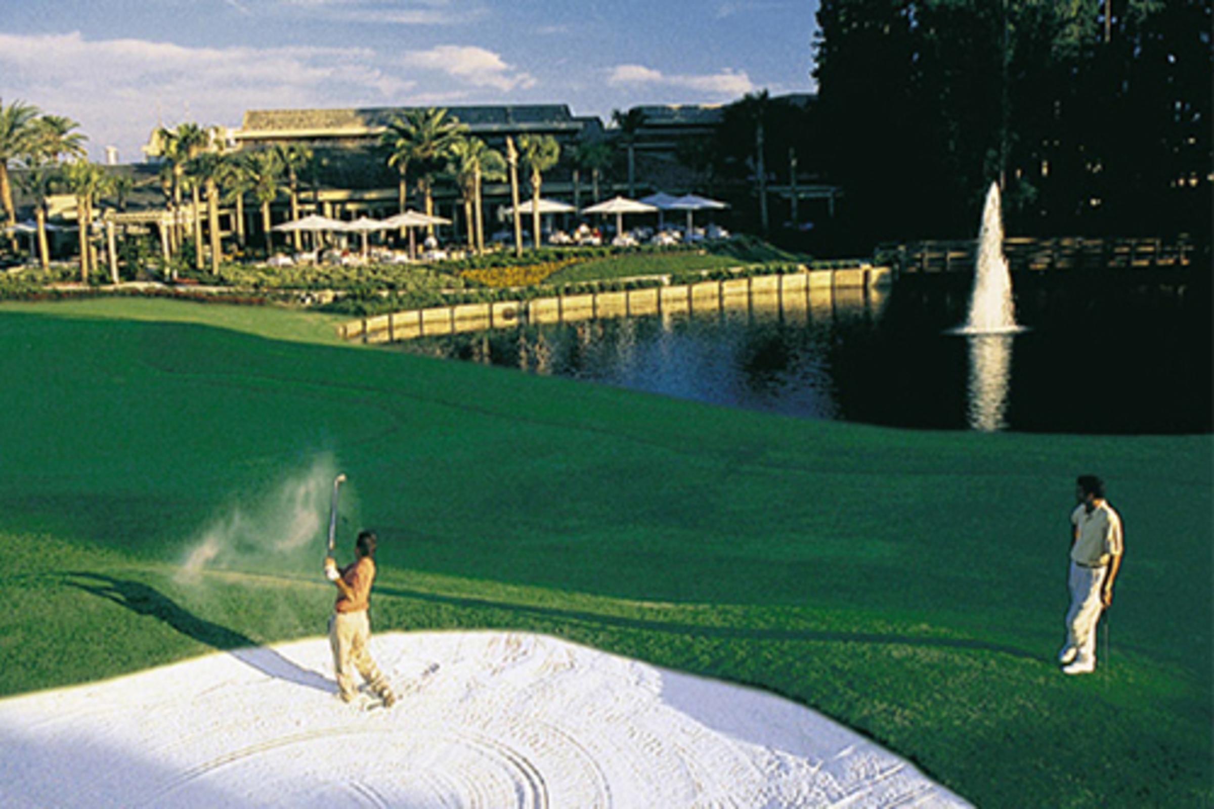 Saddlebrook