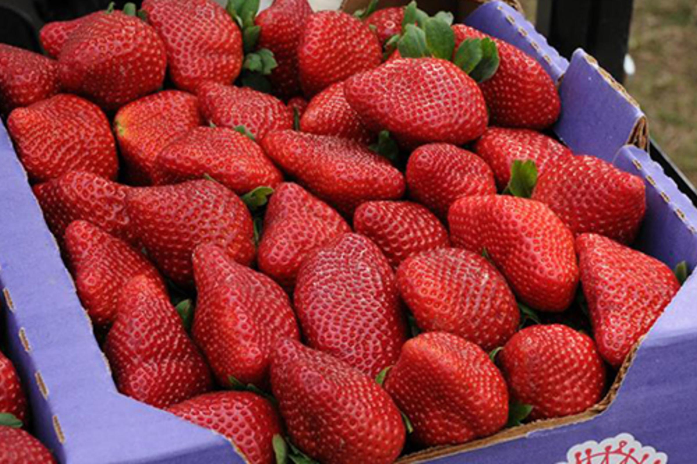 strawberries