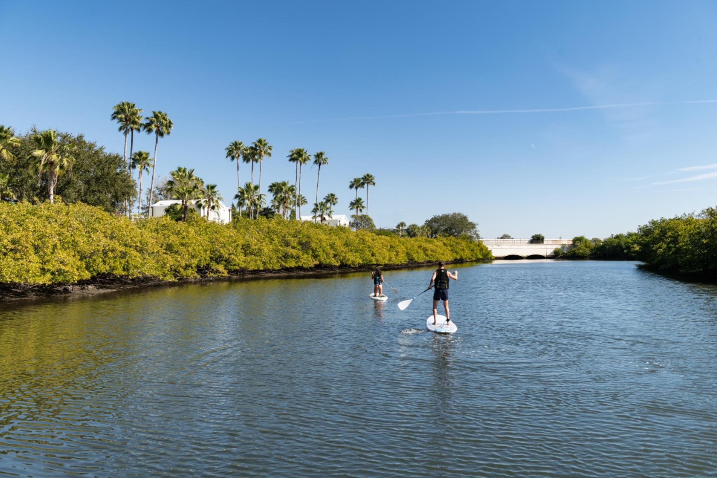 Paddle Board From The Dock