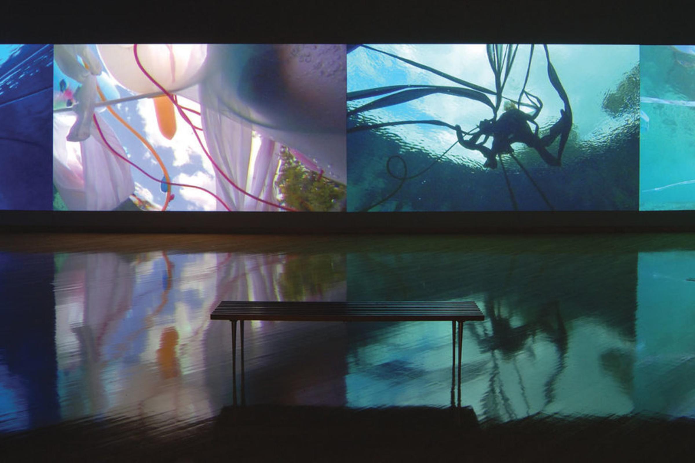 Janaina Tschape Installation "Blood, Sea" in CAM@25 Exhibition