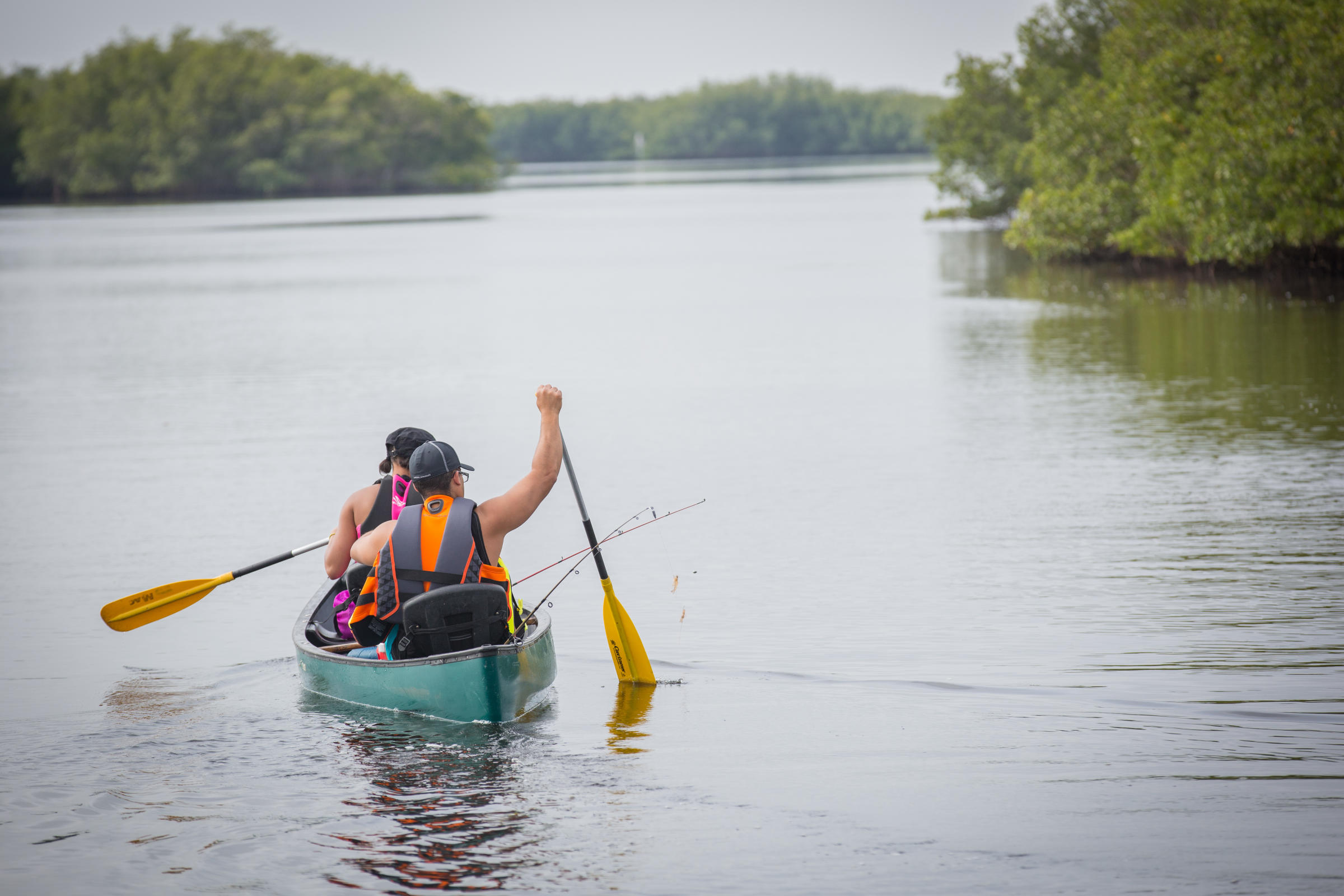 Hillsborough County Kayaking - Upper Tampa Bay Trail