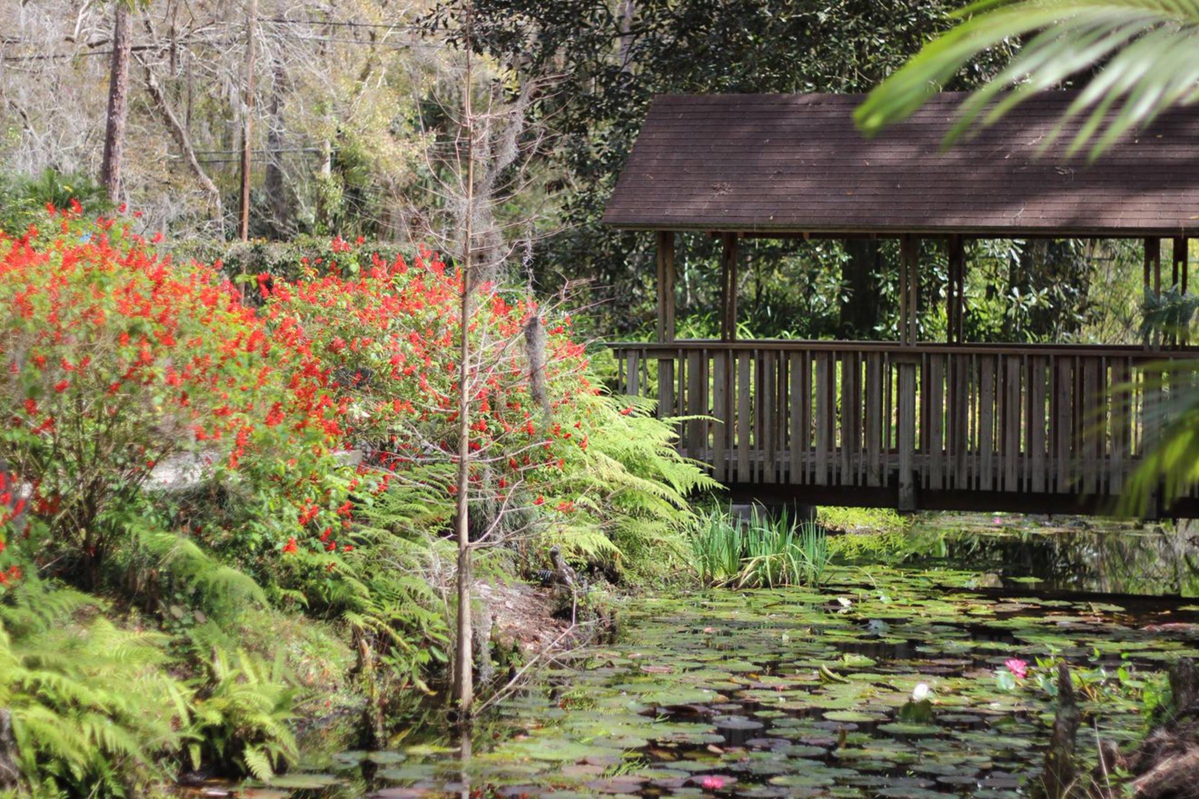 Hillsborough County Parks & Recreation - Eureka Springs