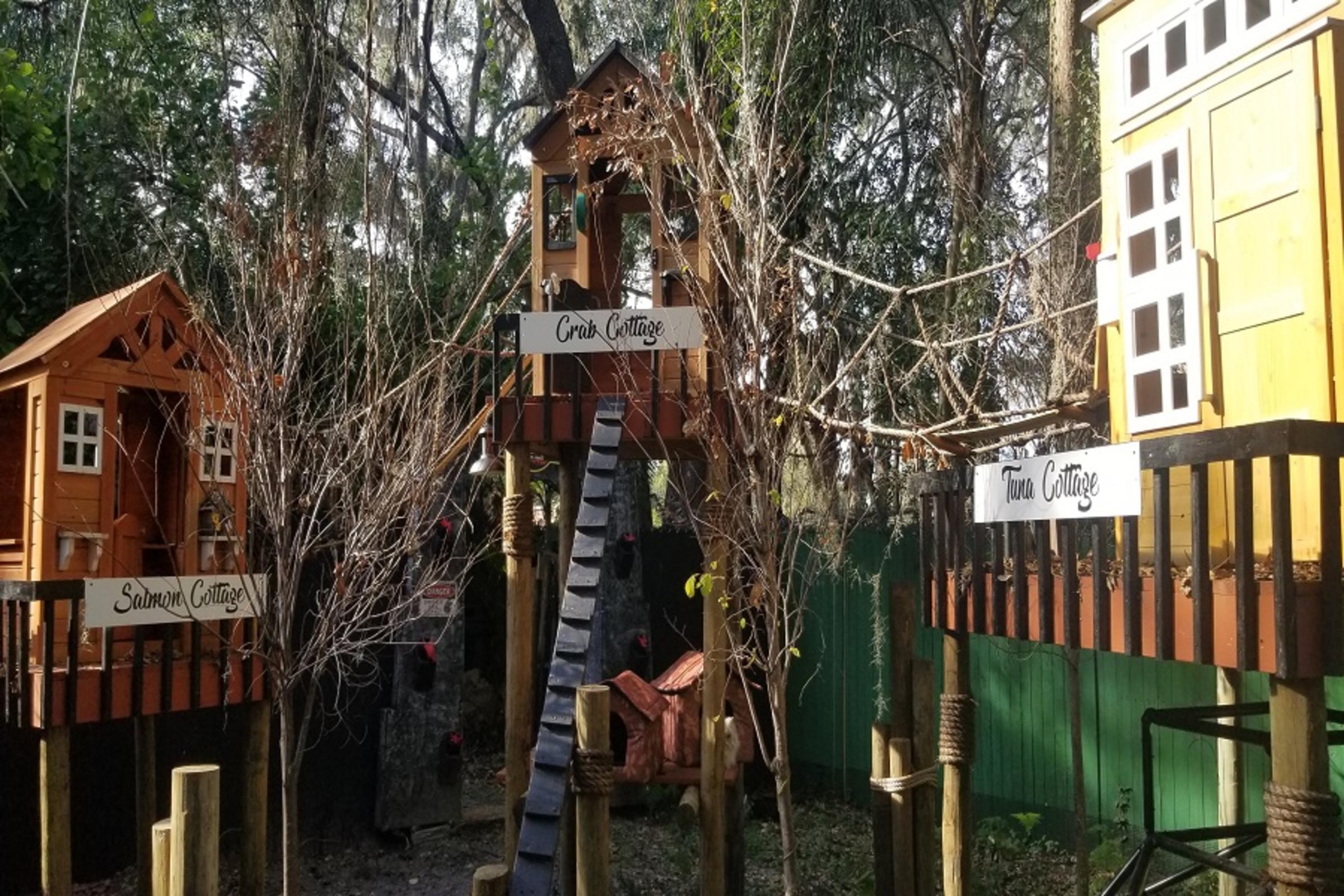 Treehouse