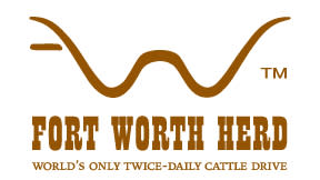 Fort Worth The Herd  Daily Cattle Drives