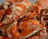 Sambos Crabs plate
