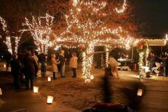 oakwood lights