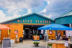 Black's Peaches