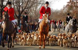 Middleburg Hunt