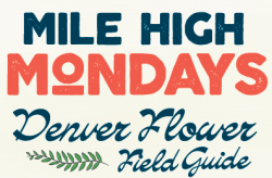 MHM_Field Guide