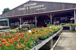 Schramm Farms & Orchards