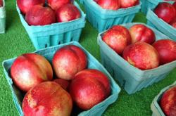 Hillside Orchards