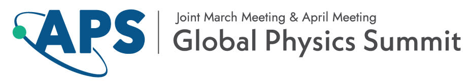 Global Physics Summit
