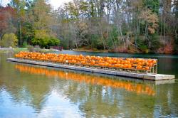 Fall Furnace Fest