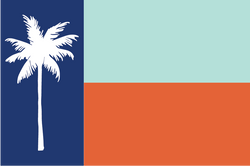 Texas flag color replaced with oranges and blues. In place of the star is a white palm tree.