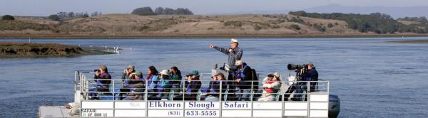 Elkhorn Slough, Moss Landing