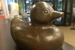 This is a picture of a bronze lucky duck for the Lucky Duck Scavenger Hunt in Huntsville